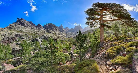 Quel matériel prendre pour faire le GR20 ? 🏞️🎒